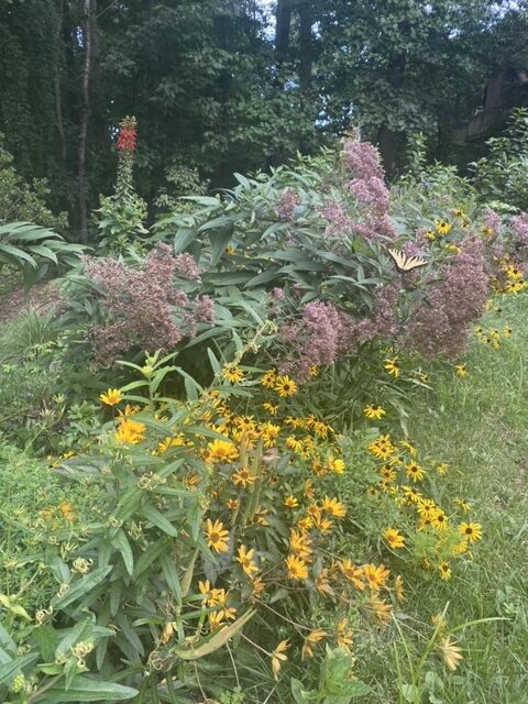 A colorful garden bed with yellow and pink flowers under a cloudy sky.