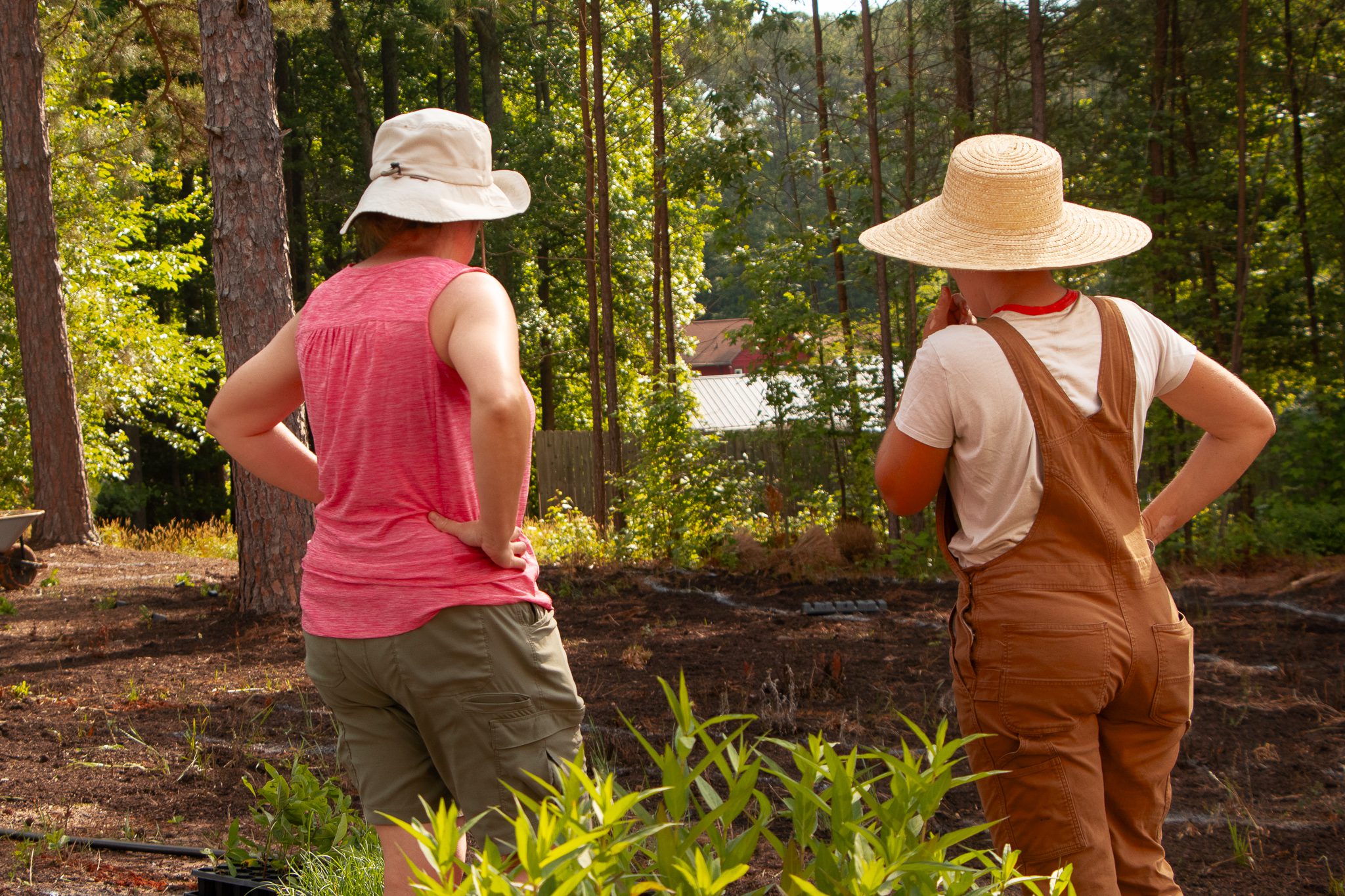 Two gardeners wearing hats work in a sunny garden.