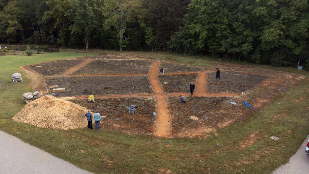 Archaeologists excavate an ancient site with trenches in a forest clearing.