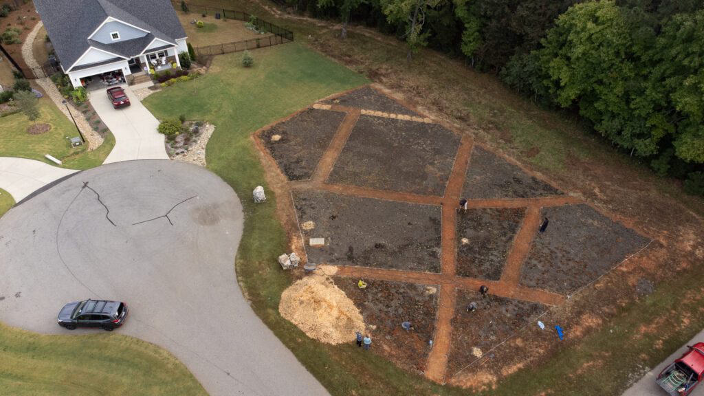 Overhead view of a garden plot with wooden dividers and small plants.