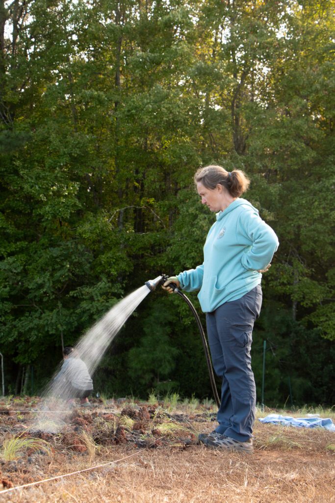Woman watering plants outside with a hose in a garden.